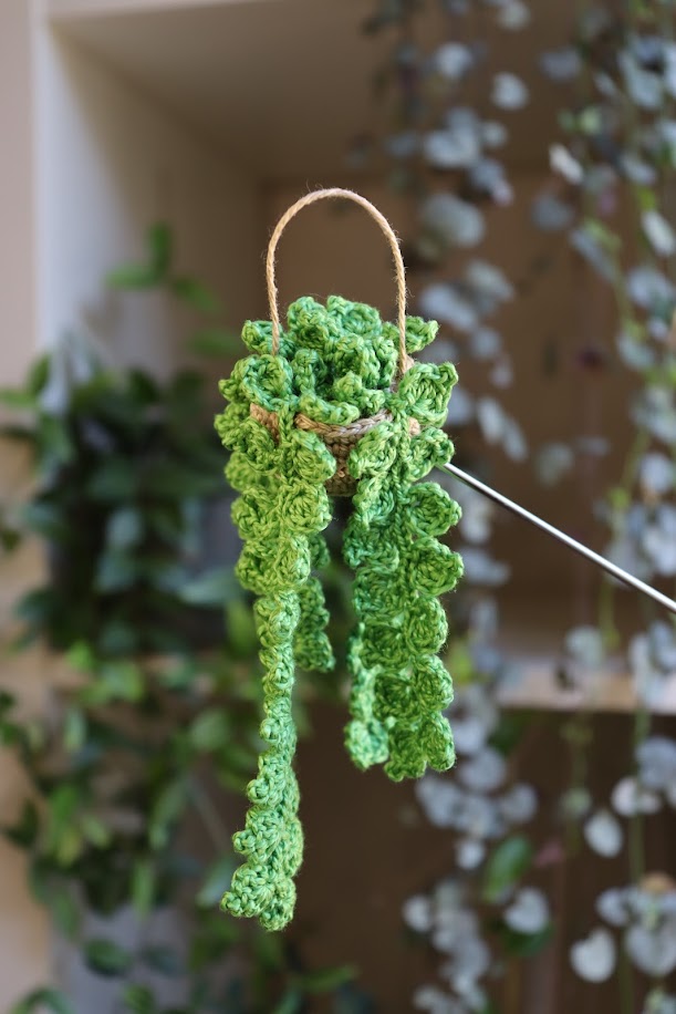Crochet Vine Hanging Plant