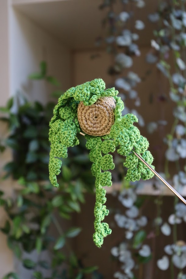 Crochet Vine Hanging Plant