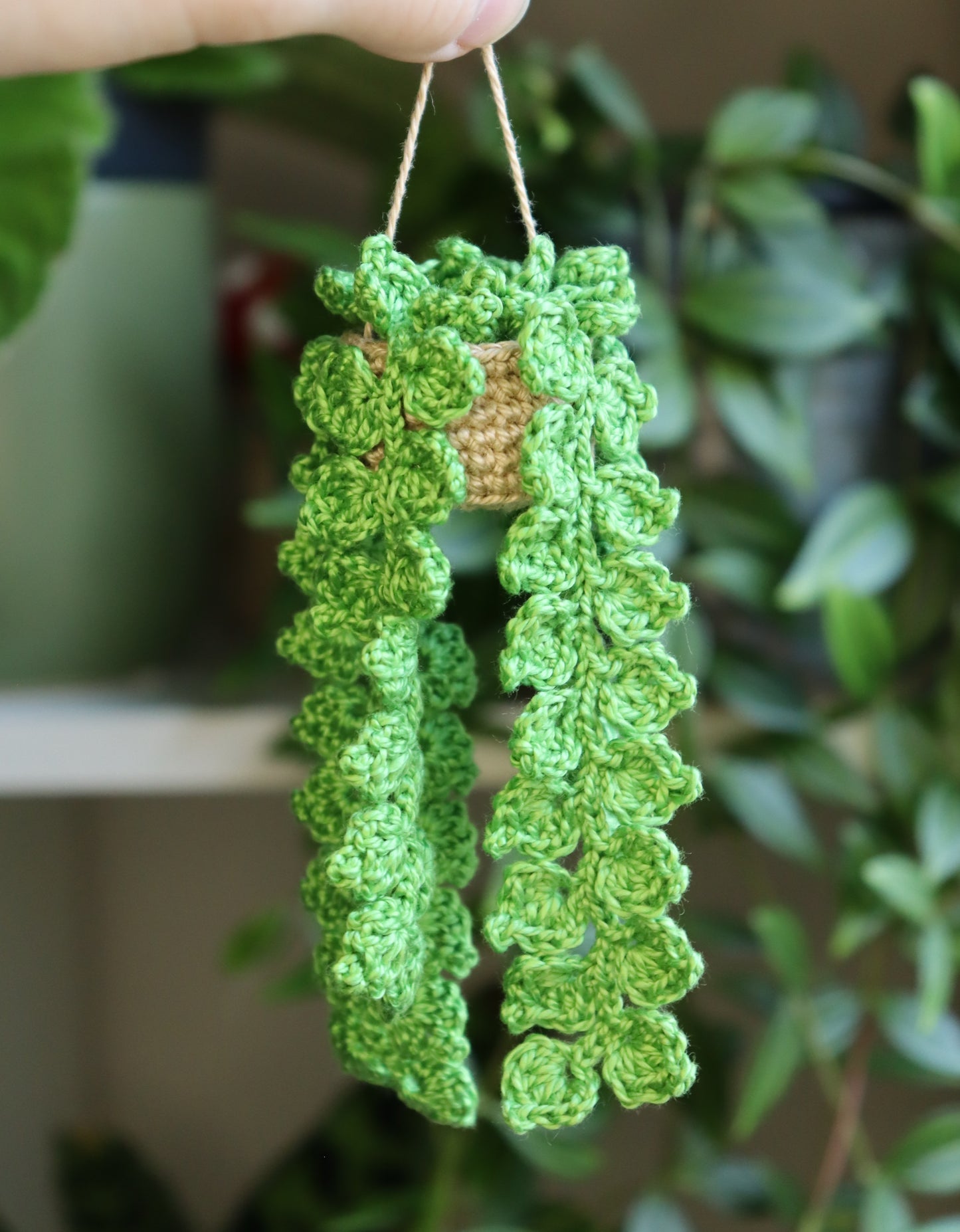 Crochet Vine Hanging Plant