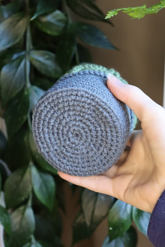 Crochet Brain Plant