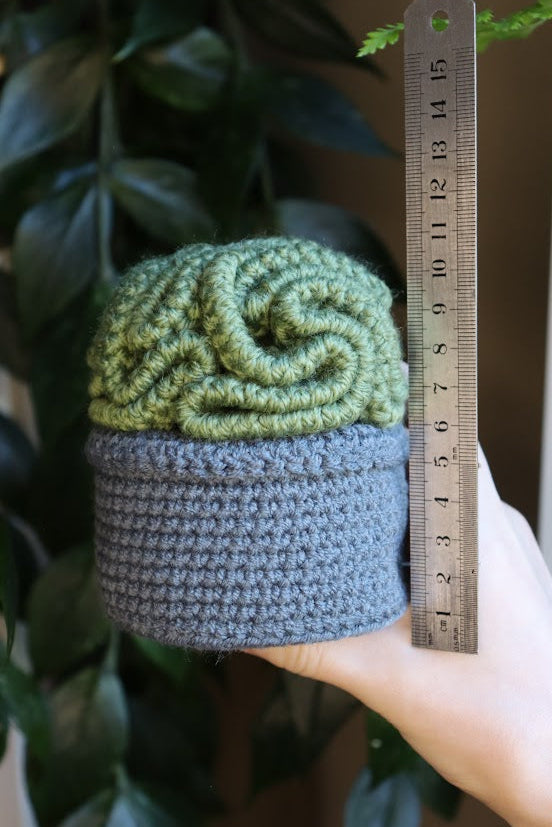 Crochet Brain Plant