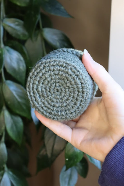 Crochet Brain Plant