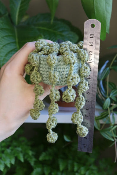 String of Pearls in Sparkly Pot