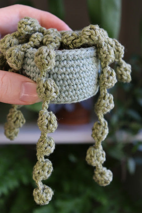 String of Pearls in Sparkly Pot