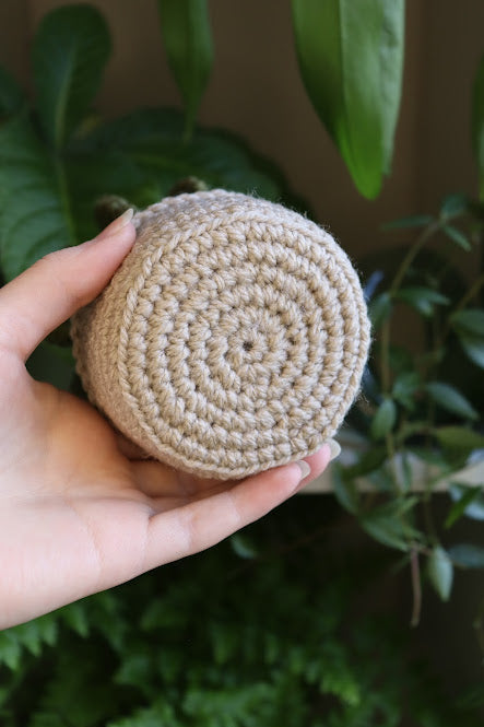 Crochet Cactus with Blue Flower