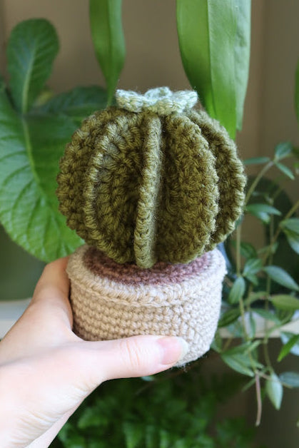 Crochet Cactus with Blue Flower
