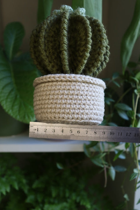 Crochet Cactus with Blue Flower