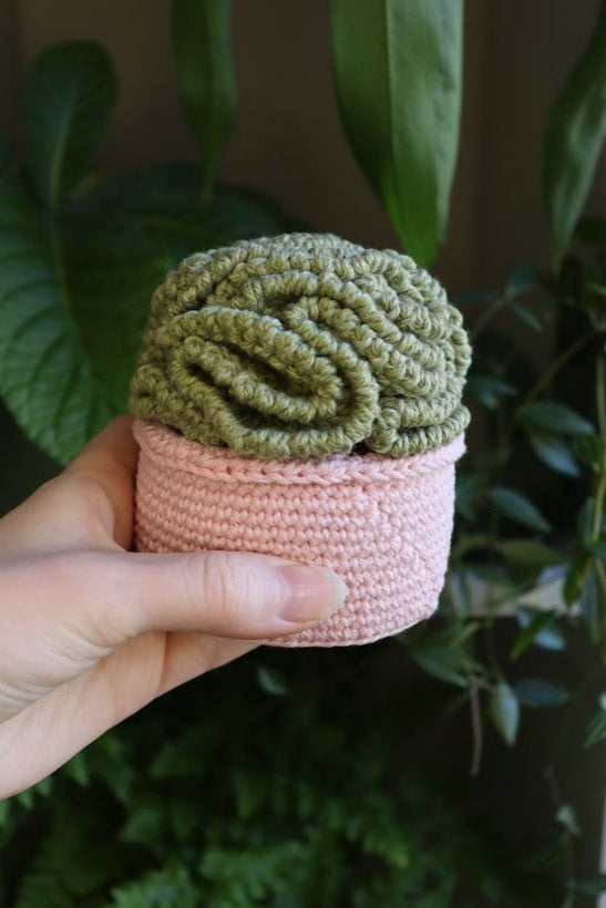 Crochet Brain Plant in Sparkle Pot