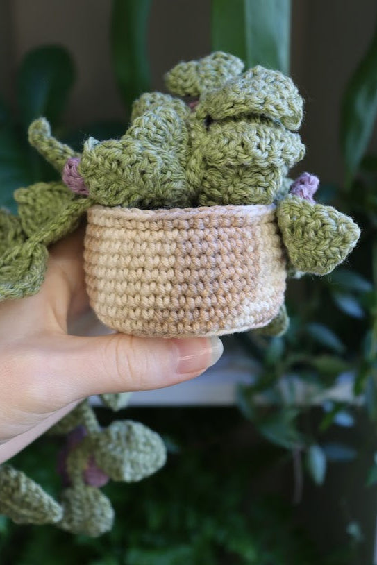 Crochet Purple Flower Plant
