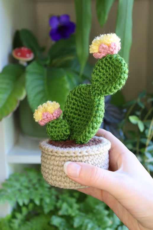 Crochet Pink Flower Prickly Pear Cactus