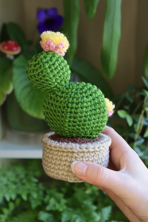 Crochet Pink Flower Prickly Pear Cactus