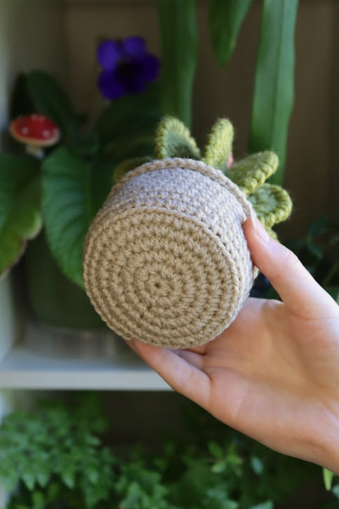 Crochet Cactus with Pink Flower