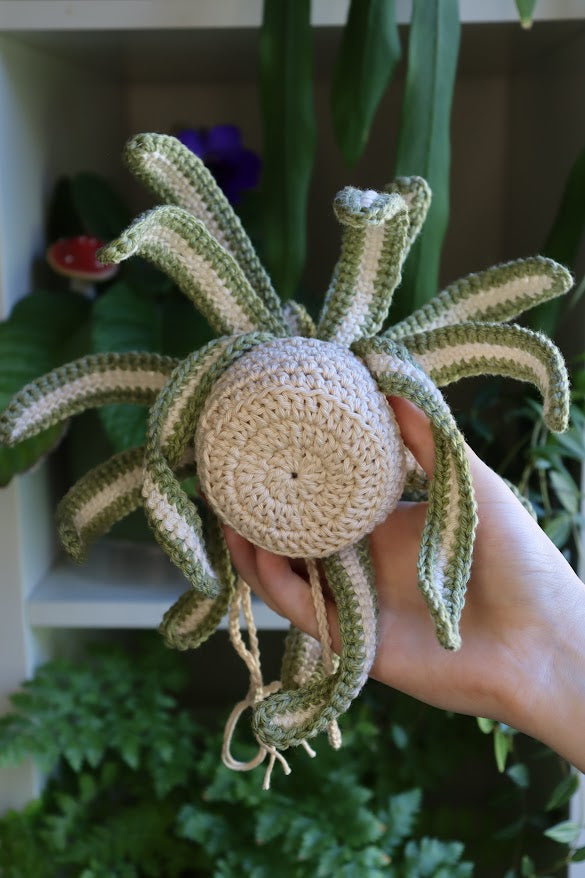 Crochet Spider Plant