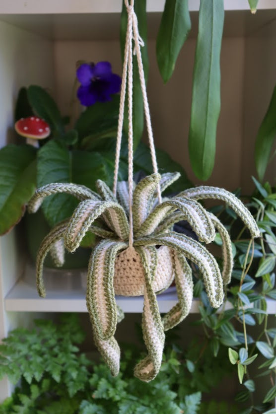 Crochet Spider Plant