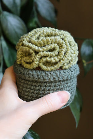 Crochet Brain Plant