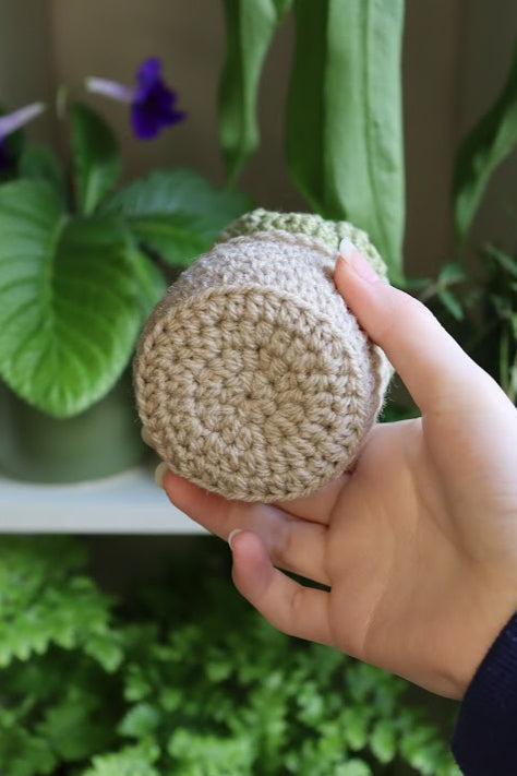 Crochet Succulent