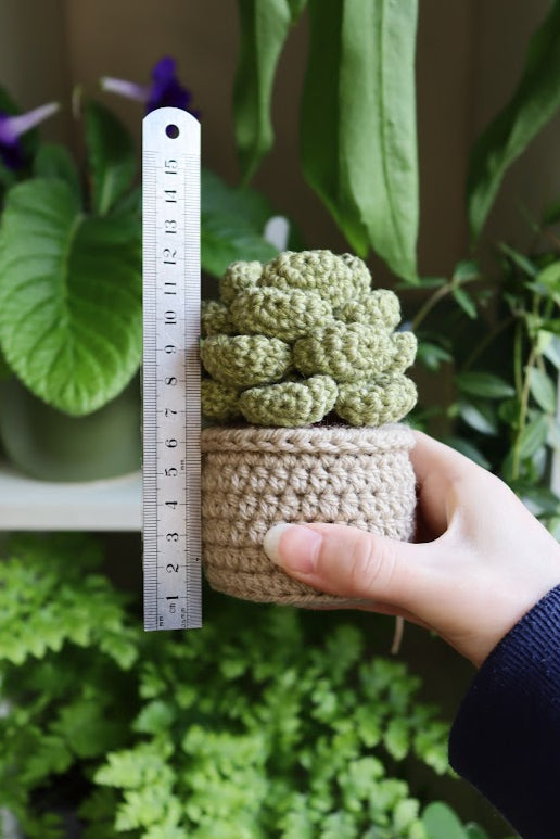 Crochet Succulent