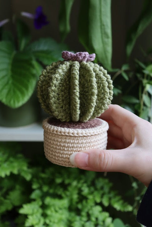 Crochet Purple Flower Cactus