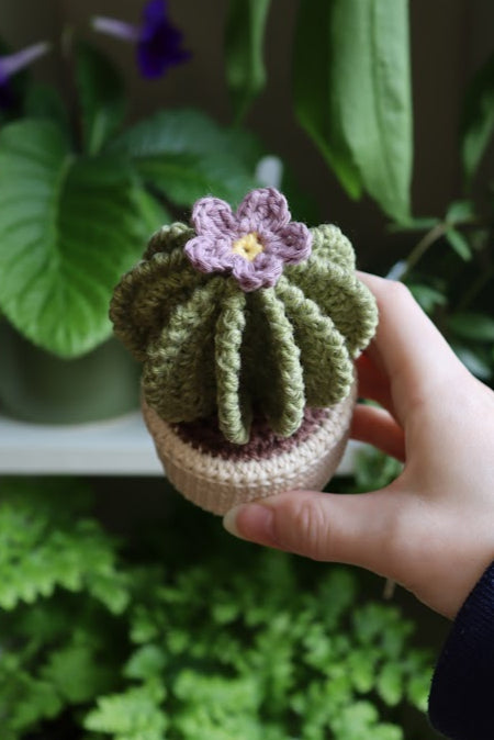 Crochet Purple Flower Cactus