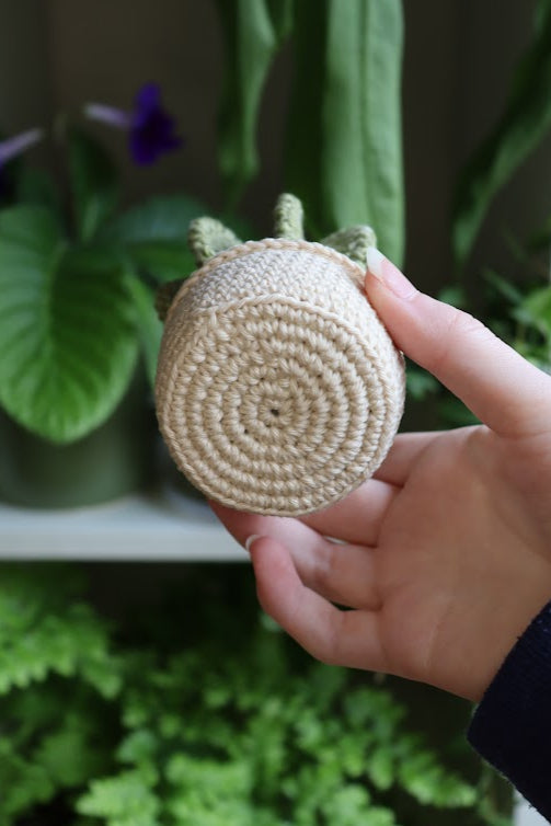 Crochet Purple Flower Cactus