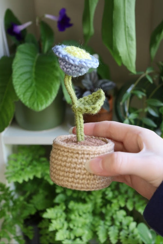 Crochet Blue Flower
