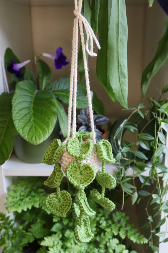 Crochet Heart Leaf Plant