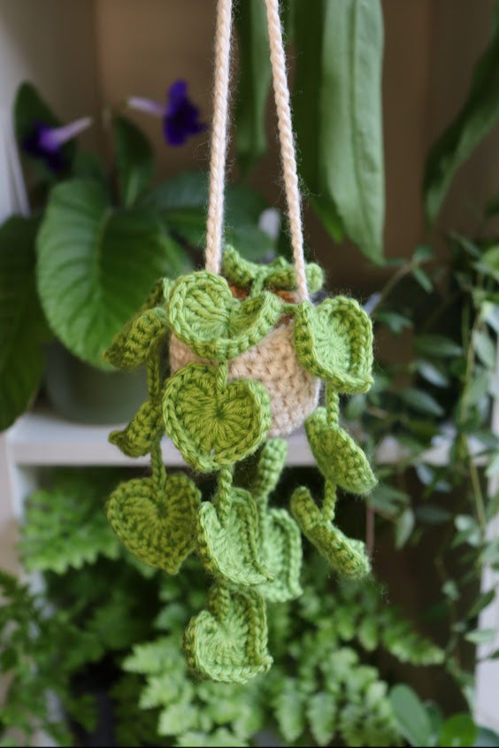Crochet Heart Leaf Plant