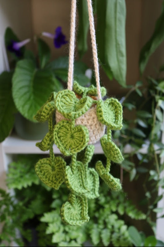 Crochet Heart Leaf Plant