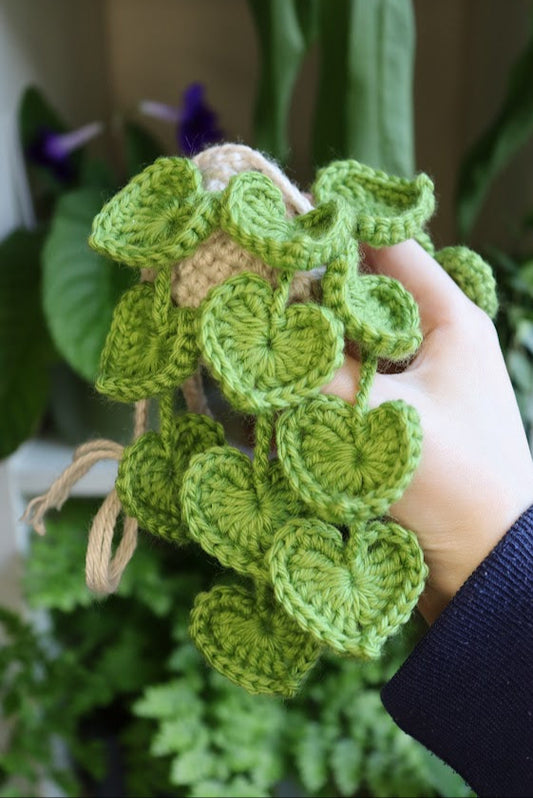 Crochet Heart Leaf Plant