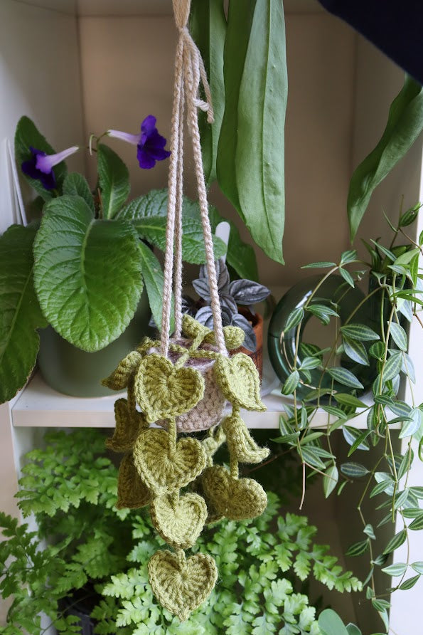 Crochet Green Heart Leaf Plant