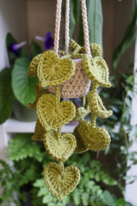 Crochet Green Heart Leaf Plant