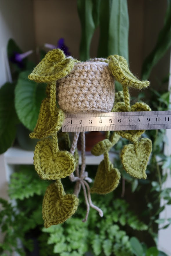 Crochet Green Heart Leaf Plant