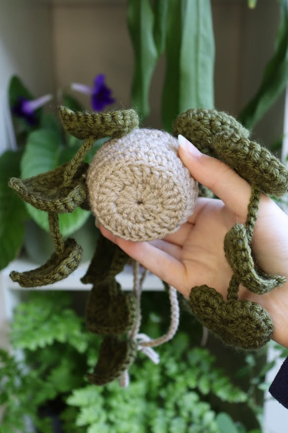 Crochet Dark Green Heart Leaf Plant