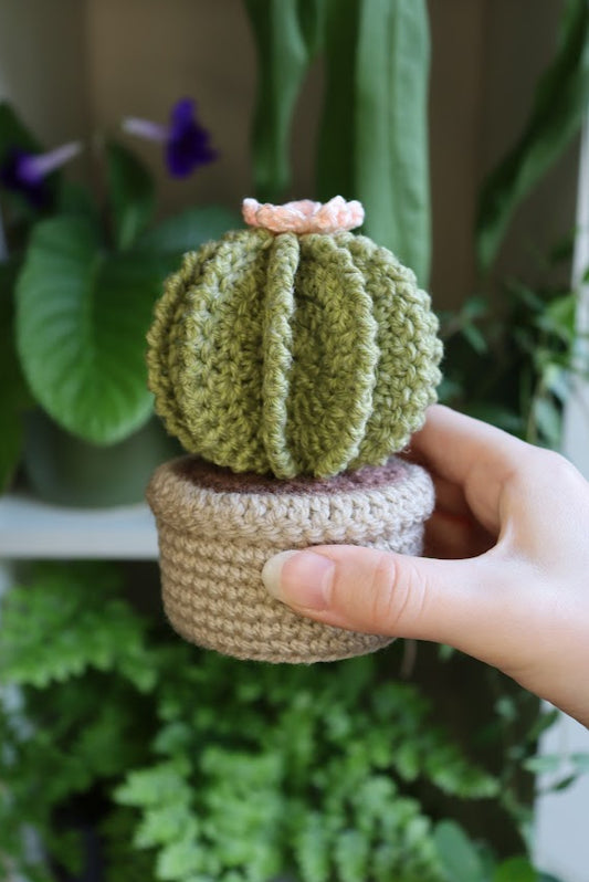 Crochet Pink Flower Cactus