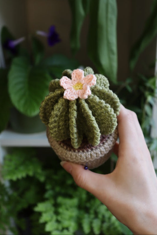 Crochet Pink Flower Cactus