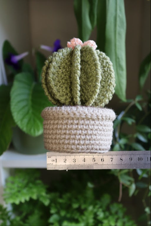 Crochet Pink Flower Cactus