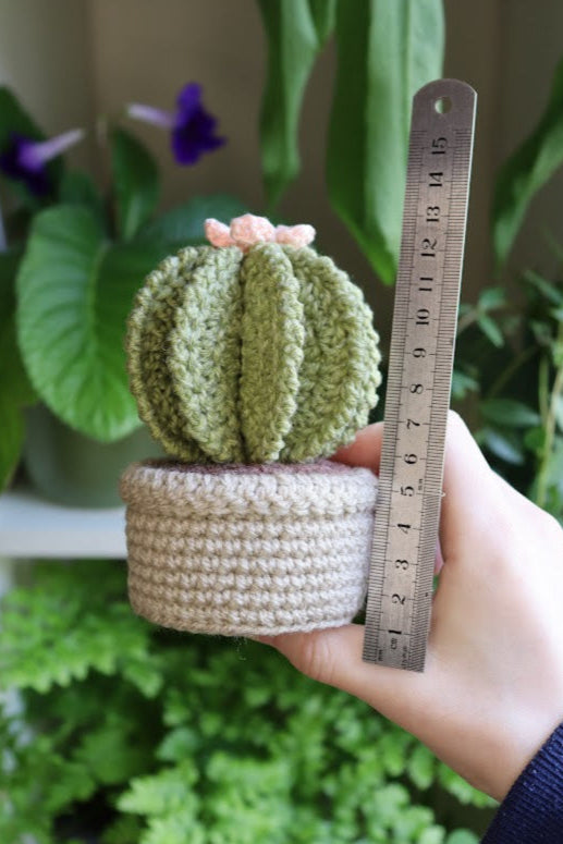 Crochet Pink Flower Cactus