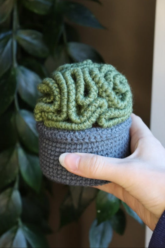 Crochet Brain Plant