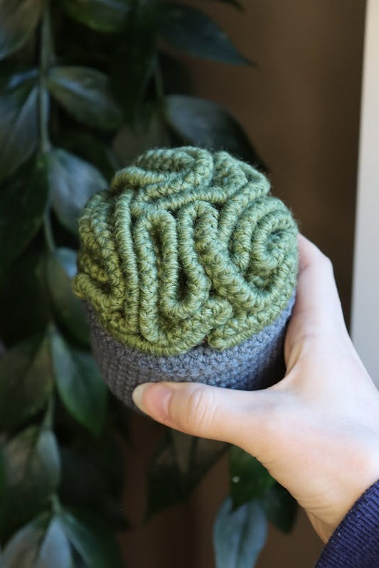 Crochet Brain Plant