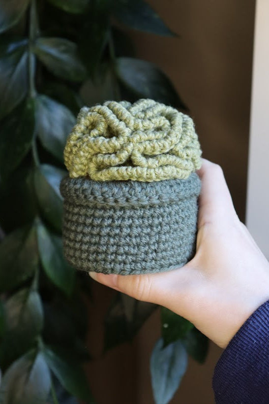 Crochet Brain Plant