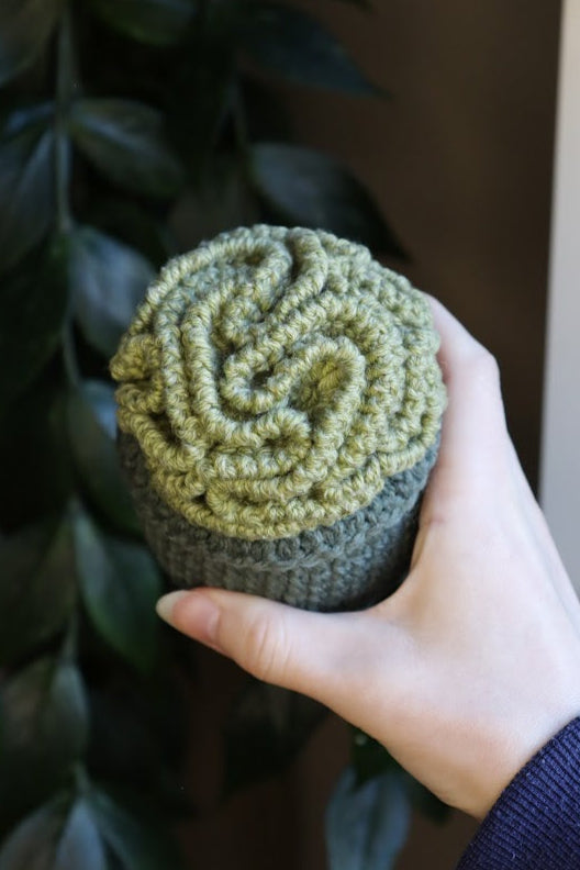 Crochet Brain Plant