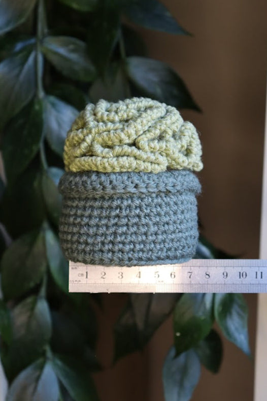 Crochet Brain Plant