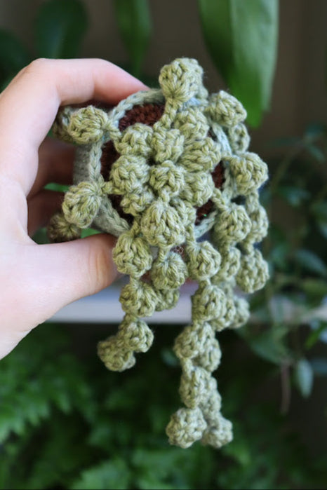 String of Pearls in Sparkly Pot