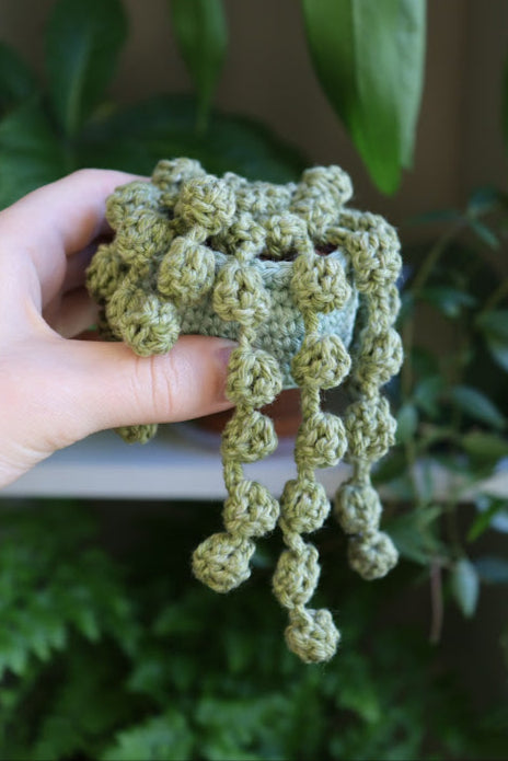String of Pearls in Sparkly Pot