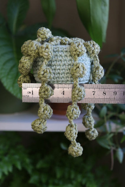 String of Pearls in Sparkly Pot