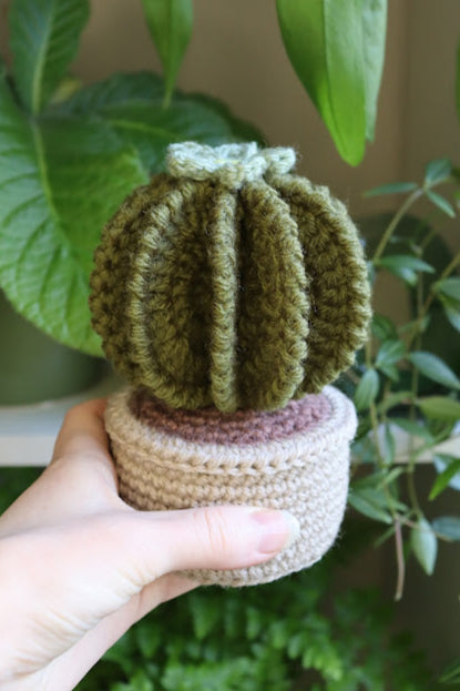 Crochet Cactus with Blue Flower