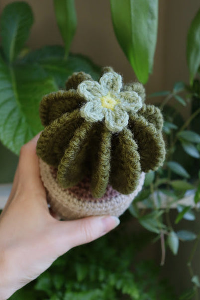 Crochet Cactus with Blue Flower
