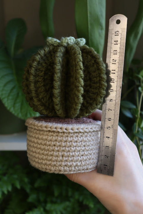 Crochet Cactus with Blue Flower