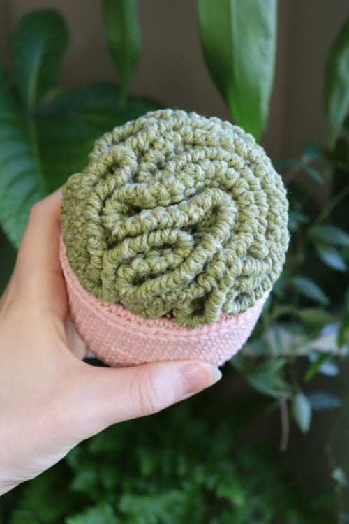 Crochet Brain Plant in Sparkle Pot