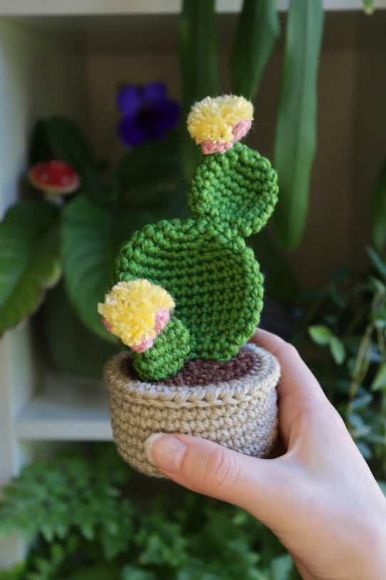 Crochet Pink Flower Prickly Pear Cactus
